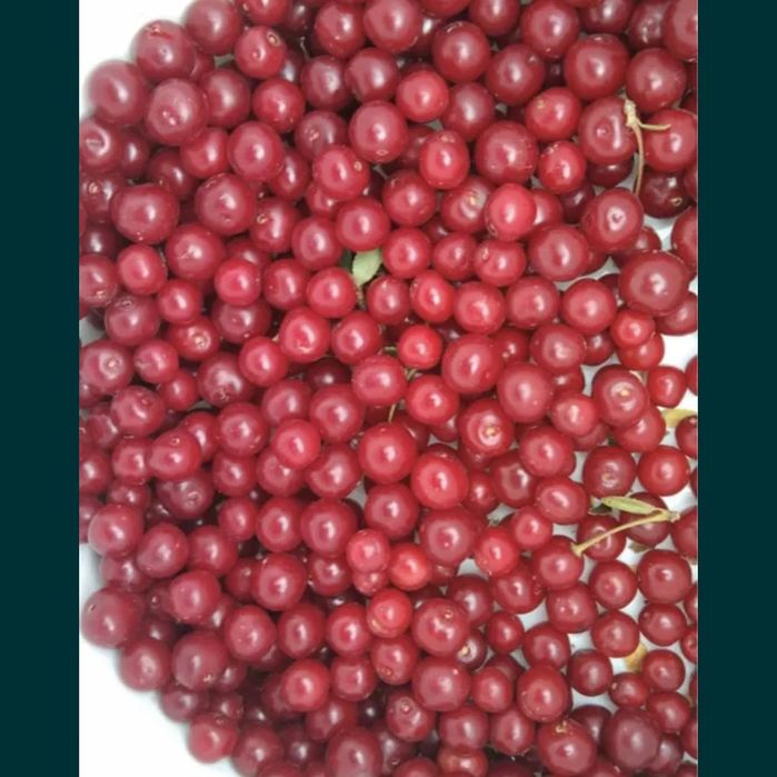 Продам Вишню 900 литр