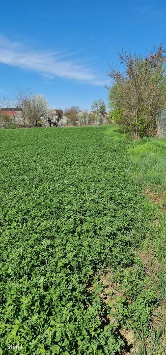 Vand teren 500 mp Cordun