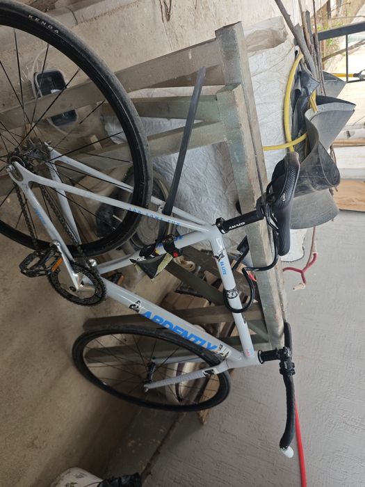 Фикс арена лайт ардентли