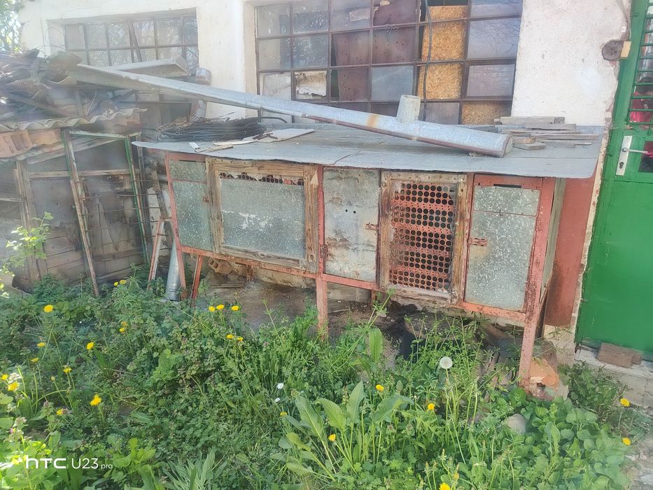 Зайчарници два броя