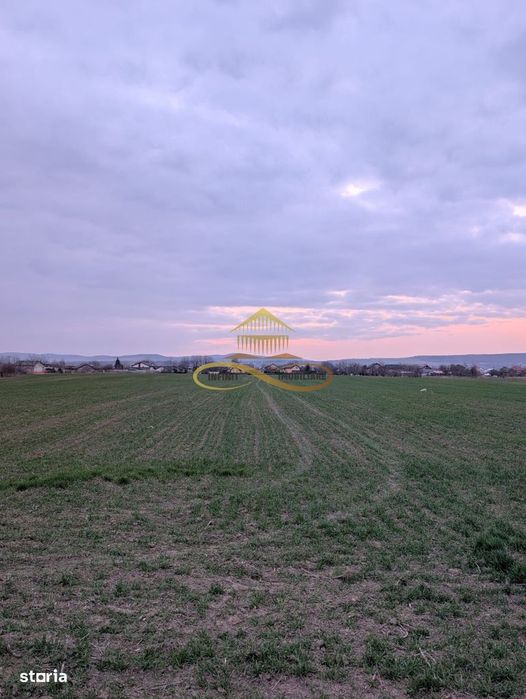 Teren Intravilan In Lilieci, Bacau