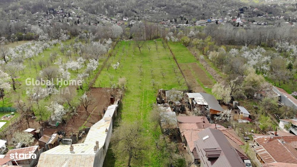 4898 MP Teren Intravilan | Prahova - Cornu De Jos | Toate Utilitatile