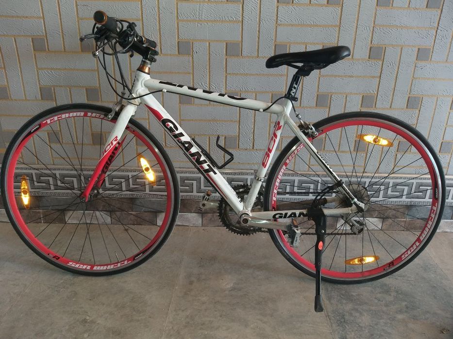 Velosiped GIANT (sporting. professional)