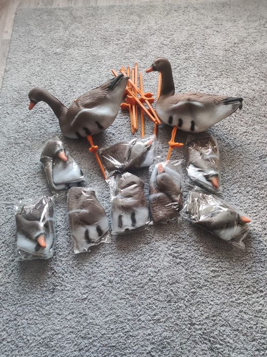 Гусиные чучела. Гусиные профиля