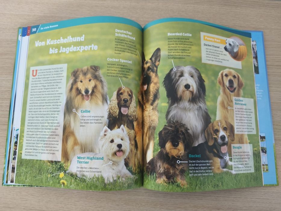 Cartebin germana deapre caini