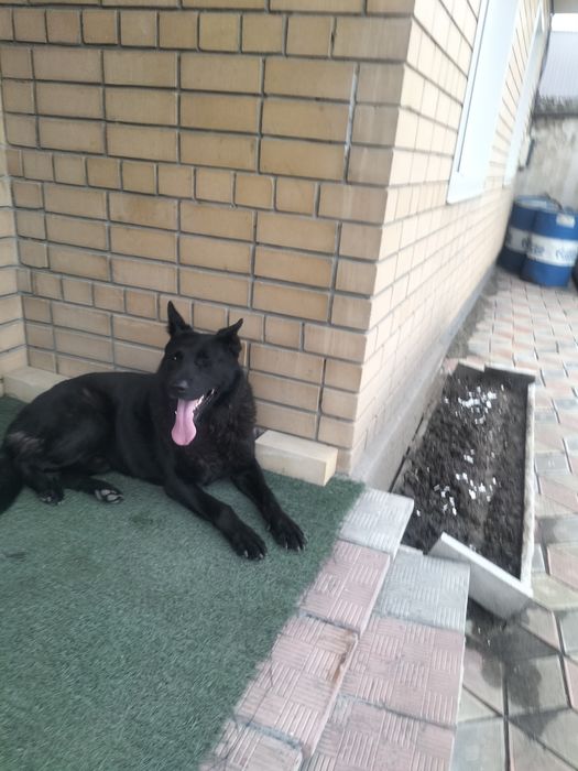 Вязка мальчик 4 года