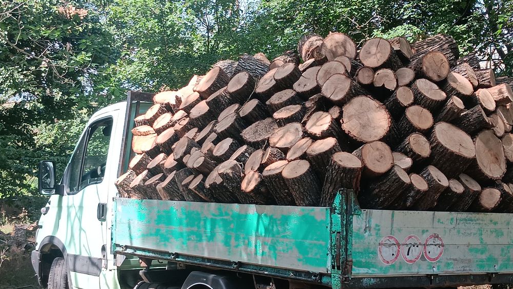 Lemne foc zona MURGENI Bârlad Vaslui