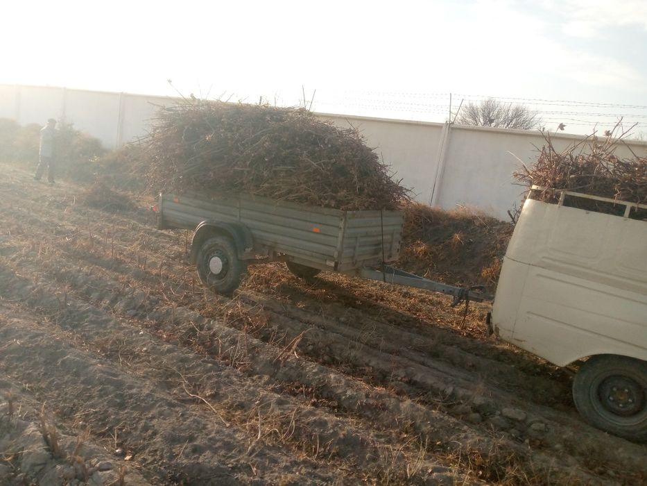 Moskivich sotiladi pikap