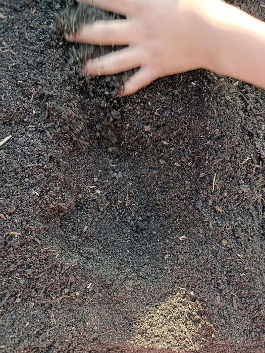 Срочно Биогумус сотилади