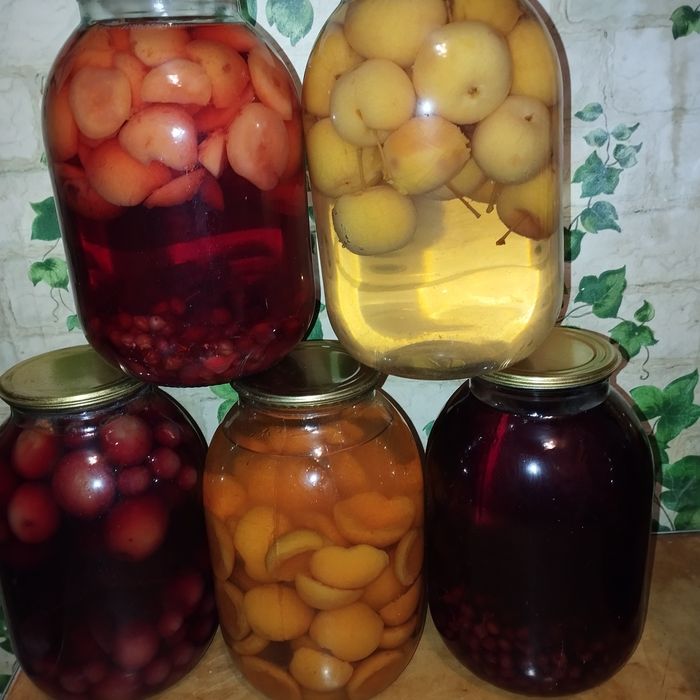 Домашние кампотики