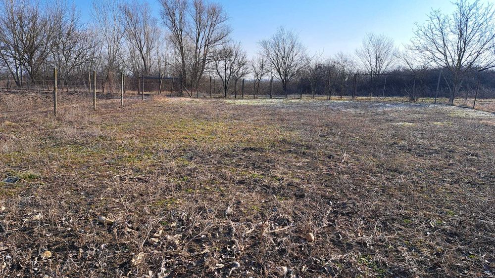 De vânzare loc de casă – Sat Niuved, Comuna Tămășeu