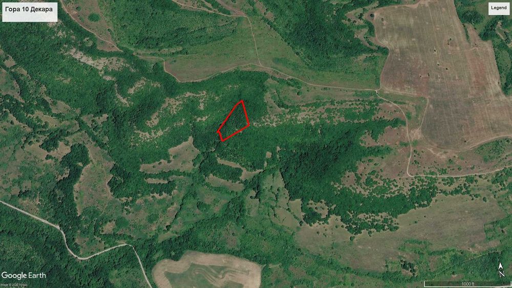 Гора 10 Декара до село Тепава