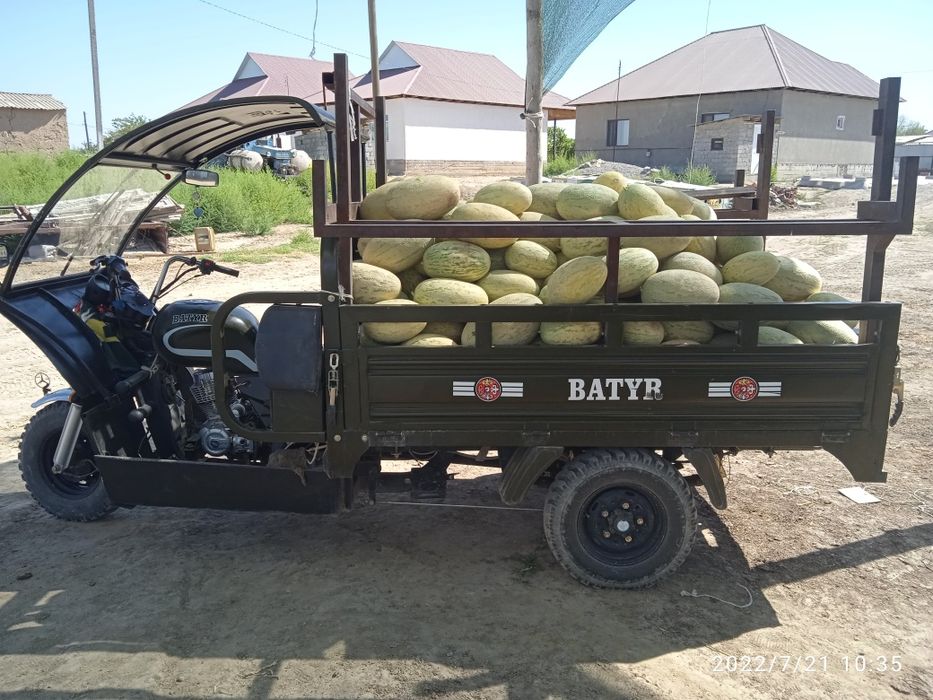 Мотоцекл трицикл муравей 250 куб