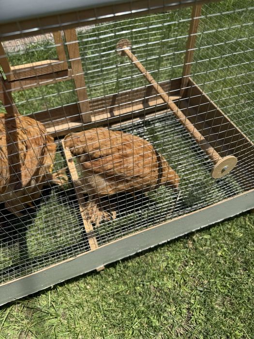 Brama kichkinaligidan qaralgan