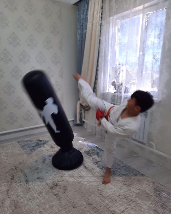 Боксерская груша. Чемпионский набор