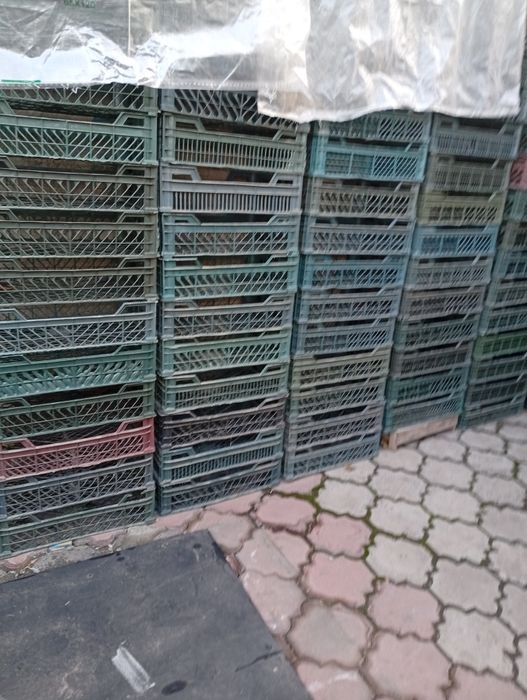 Продам ящики деревянные