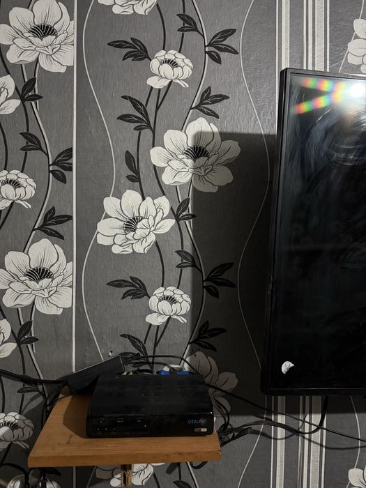 Телевизор и Холодильник