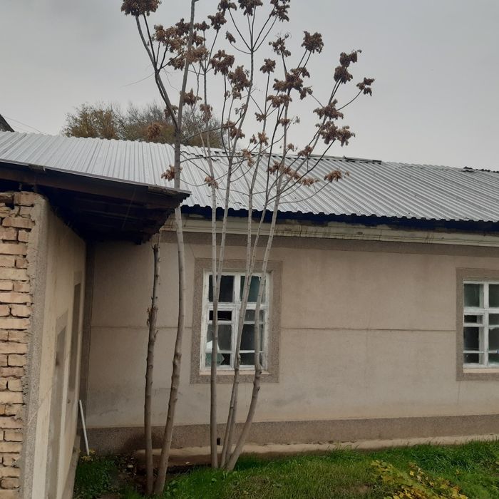 СРОЧНО ПРОДАЕТСЯ Чирчик ш. Навоий 11 сотих 3х ховли