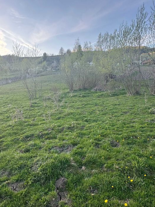 Teren intravilan 2500 mp, 18 ml deschidere, utilități, Cimpa – Petrila