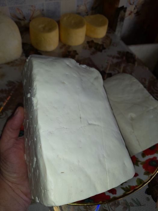 Vînd telemea de oaie de Sibiu maturată din lulie august septembrie