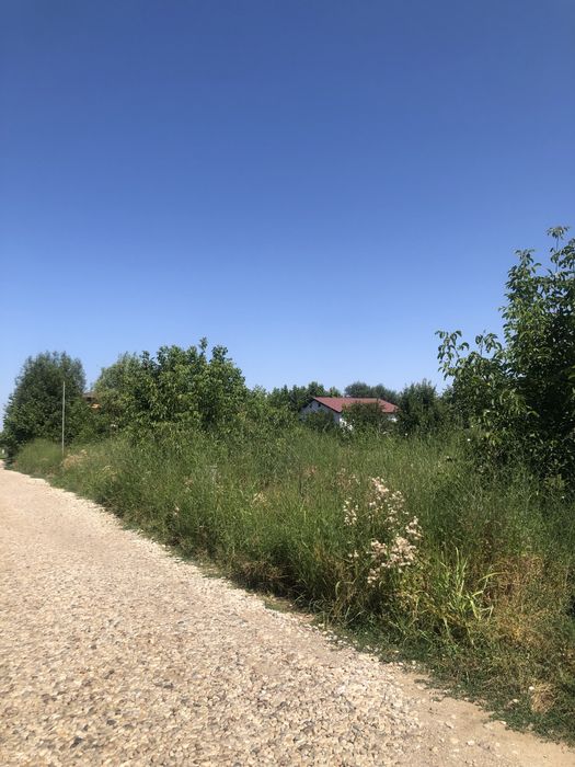 Vand teren Domnesti Ilfov