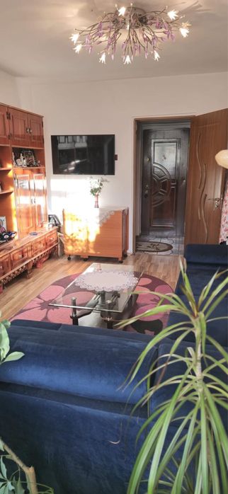 Vand apartament 2 camere , Intrarea muzeului .