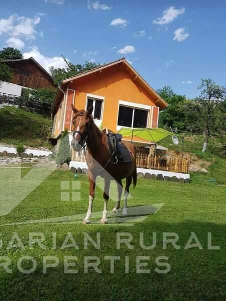 Продава се Хотел в с. Осеновлаг, Област София-област - 1200 кв.м за 375 €/кв.м - Снимка #10