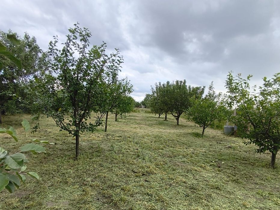 Casa de vanzare in comuna Coteana cu teren generos