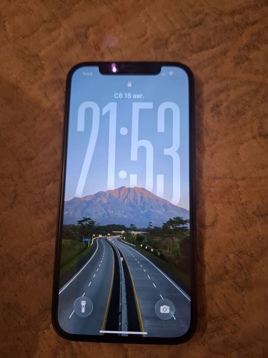iphone 12 pro трутон феис айди работает
