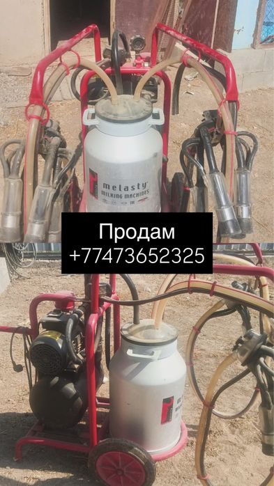 Двойной доильный аппарат