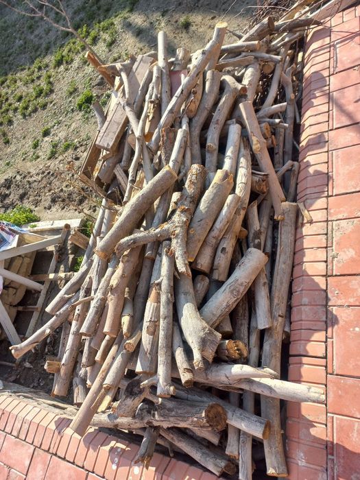 Утин анча бор, хаммаси кесиб тахланган.