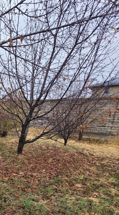 Кибрай Бугор земельный участок 6  соток угловой.