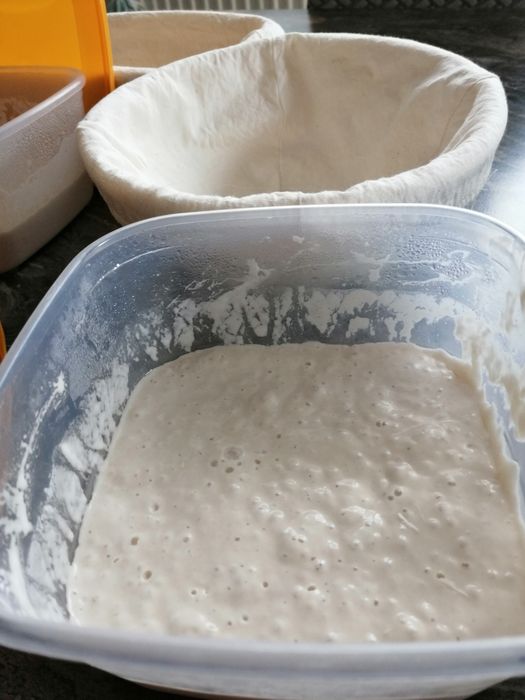 Vând maia naturala fără drojdie, pentru pâine, cozonac și aluaturi