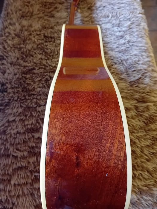 Акустична китара EKO