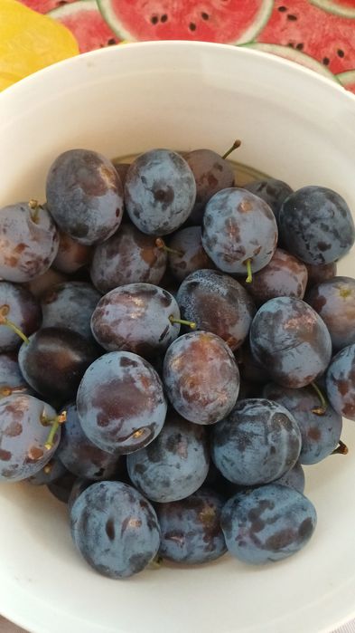Vand prune,producator  local