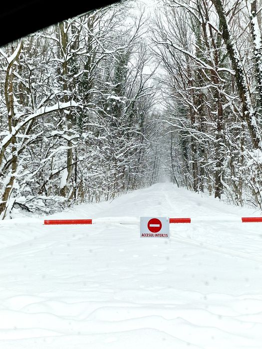 Teren 12.000mp Aleea Teisani - Padurea Baneasa