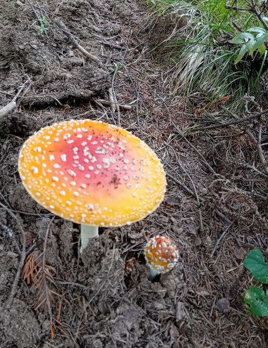 Сдаётся дом в Зимовье для отдыха.