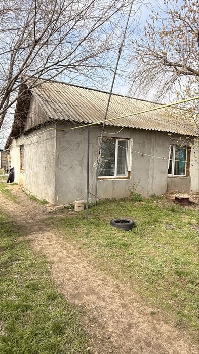 Продам хозяйство