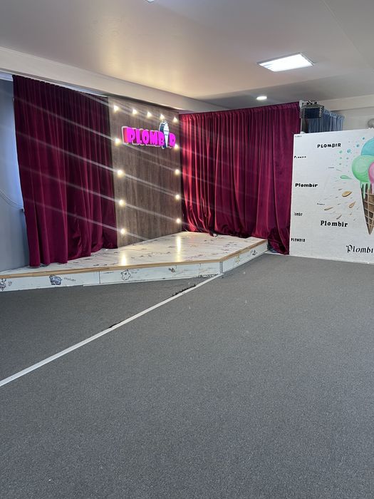 Действующий бизнес (студия, аниматоры)