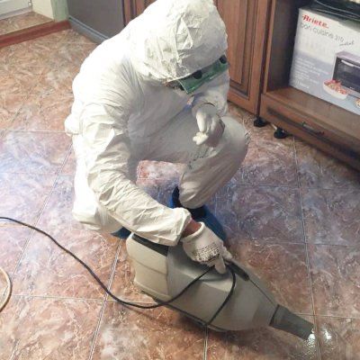 Дезинфекция Дизенфекция Дизенфекци Уничтодение Насекомых Мышь Таракан