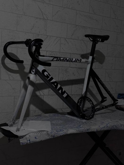 fixed gear Giant omnium frameset