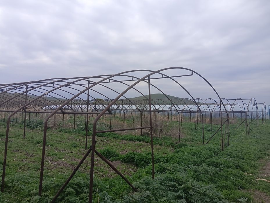 Тепличное хозяйство