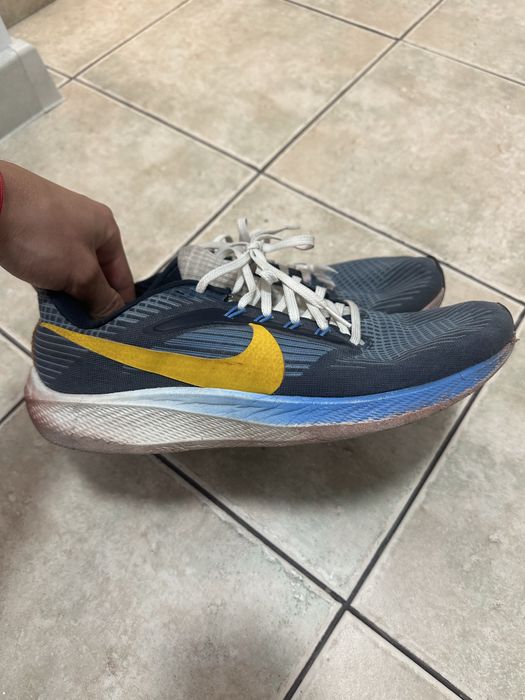 Nike Pegasus 39