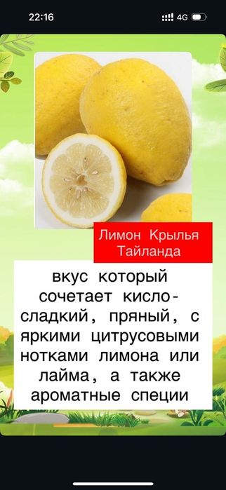 Продам сортовые прививки российского питомника