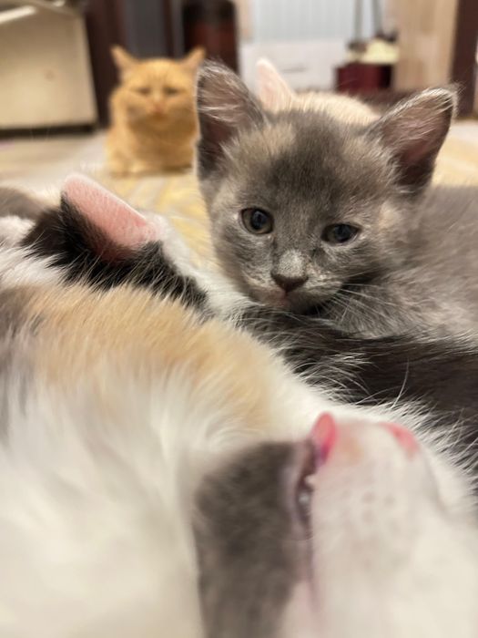 Эксклюзивное предложение