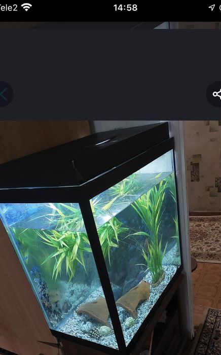 Продам 3 аквариума