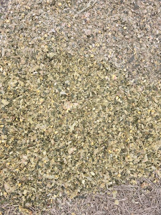 Siloz porumb pentru animale