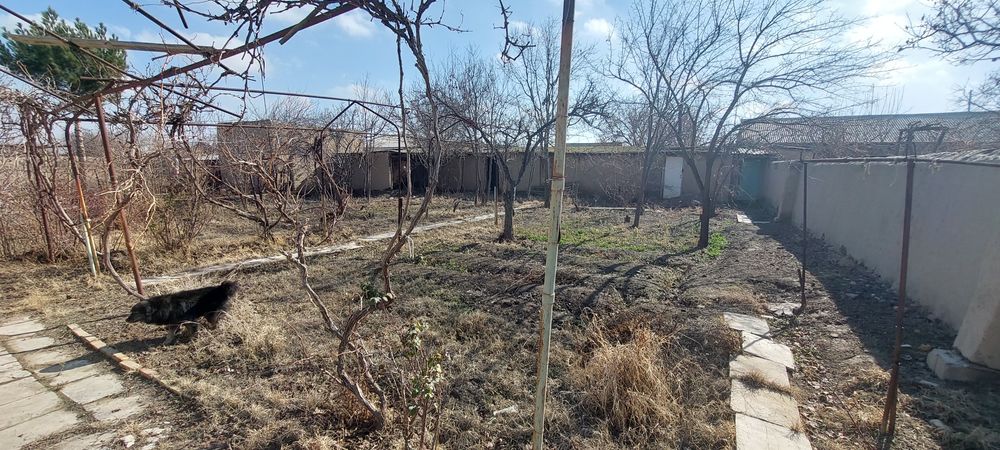 Дача  в обществе Восход