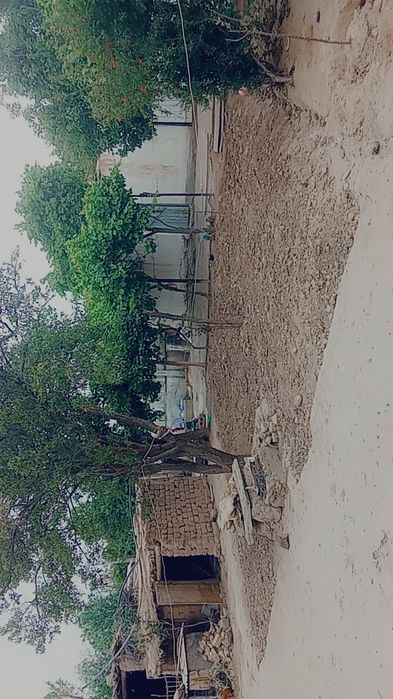Termez shaxar partizanda