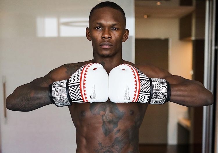 Шинегарты engage bn12